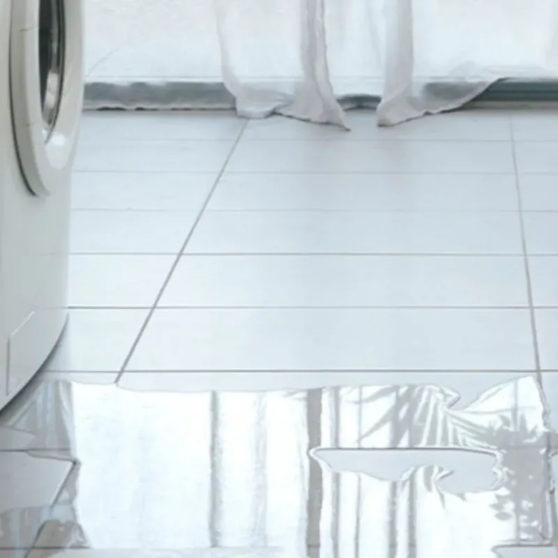 Appliance Leak Cleanup in Yulee, FL